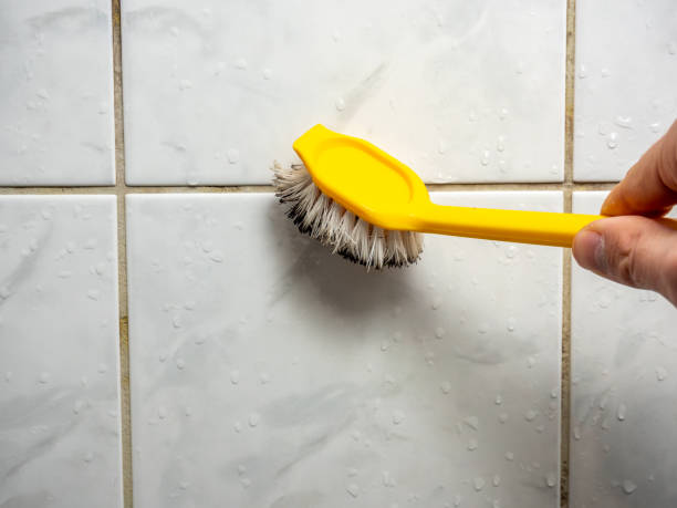 Best Water Damage Restoration  in Margate City, NJ