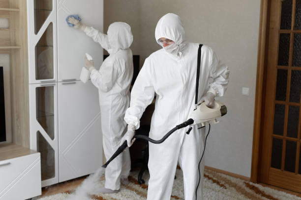 Best Toxic Mold Removal  in Margate City, NJ