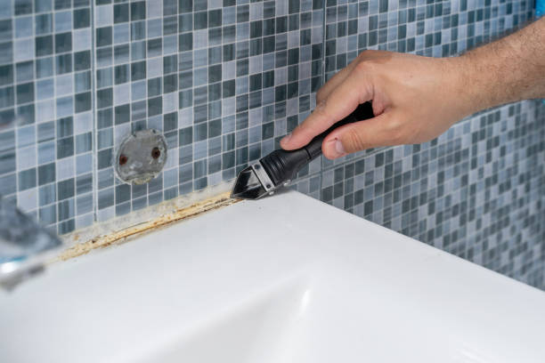 Best Local Mold Removal Service  in Margate City, NJ