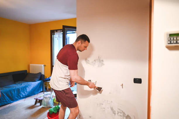 Best Mold Remediation Services  in Margate City, NJ