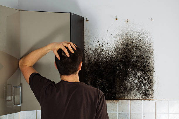 Best Office Mold Removal Services  in Margate City, NJ